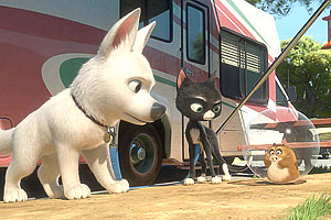 Bolt