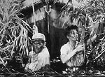 � 1951 United Artists - Image courtesy of MPTV.net