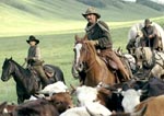 Chris Large - � 2003 Touchstone Pictures
