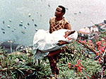 � Dispat Film