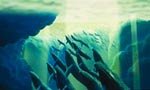 Fantasia 2000 - © 1999 Walt Disney Pictures