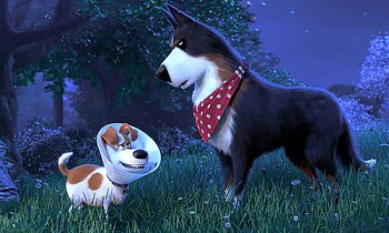 The Secret Life of Pets 2