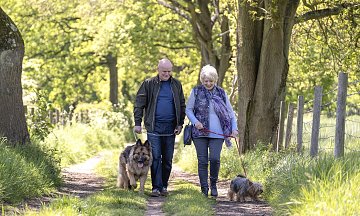 23 Walks – vielä kerran