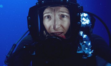 The Dive
