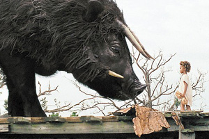 Beasts of the Southern Wild