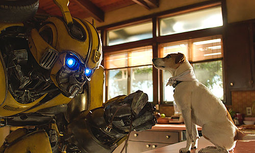 Bumblebee
