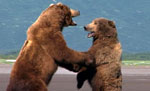 © 2005 Lions Gate Films