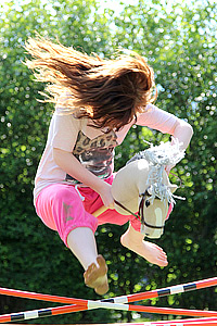 Hobbyhorse Revolution