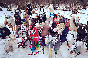Hobbyhorse Revolution