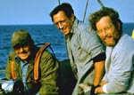 Jaws