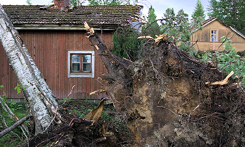 Virpi Suutari: Kansanradio – runonlaulajien maa (2021).