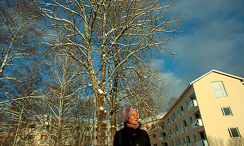 Neiti Aika