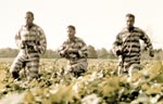 O Brother, Where Art Thou? / Voi veljet, missä lienet? - © 2000 Universal & Touchstone Pictures