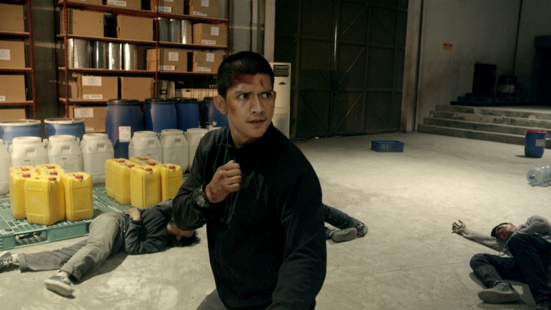 The Raid 2: Berandal 