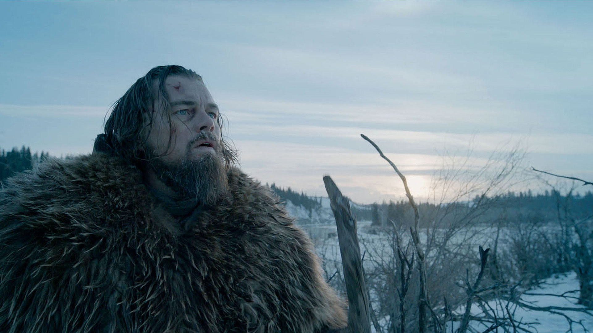 The Revenant
