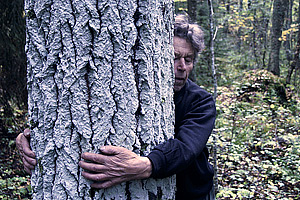 Sielunmetsä