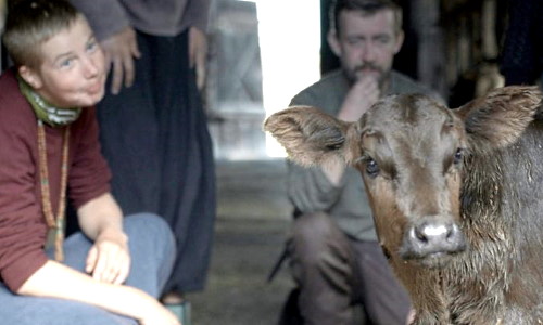Village of Swimming Cows