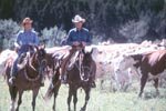 The Horse Whisperer - (c) 1998 Touchstone Pictures