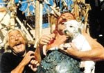 Asterix ja Obelix - tehtävä Kleopatra