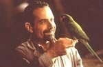 Paulie - (c) 1998 Dreamworks LLC
