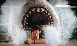 Onsen Shark