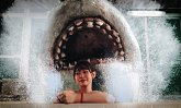 Onsen Shark