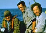 Jaws