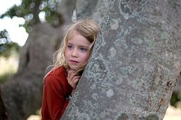 The Tree