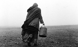 The Turin Horse