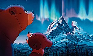 Brother Bear