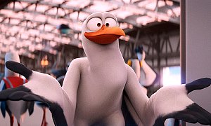 Storks