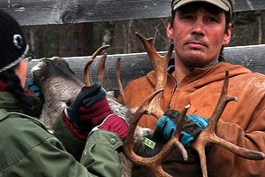 Aatsinki: The Story of Arctic Cowboys