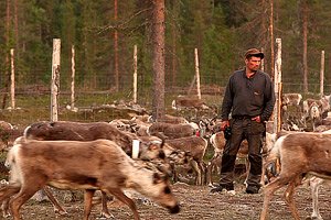 Aatsinki: The Story of Arctic Cowboys 
