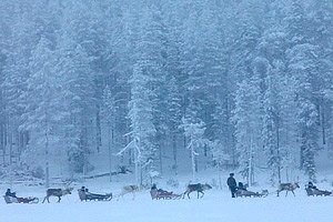 Aatsinki: The Story of Arctic Cowboys