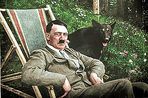 Hitler: The Rise and Fall