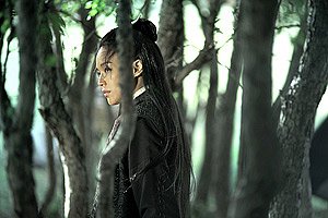 Nie yin niang