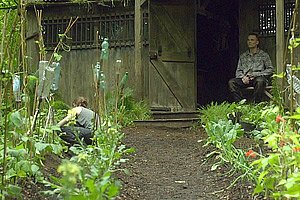 The Survivalist
