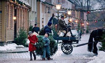 Teddybjørnens jul