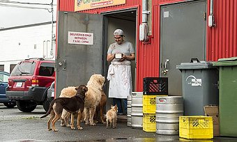 A Dog's Way Home