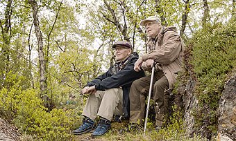 Lauluja rakkaudesta