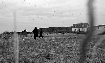 The Lighthouse