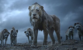 The Lion King
