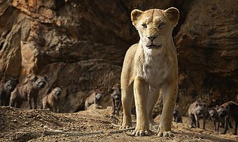 The Lion King