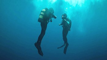 The Dive