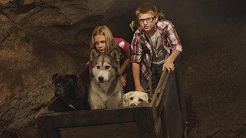 Timber the Treasure Dog 