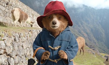 Paddington in Peru