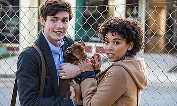 A Dog's Way Home
