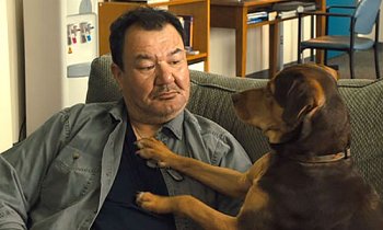 A Dog's Way Home
