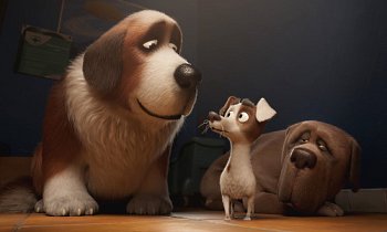 The Queen's Corgi