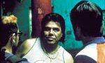 Amores Perros